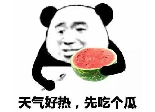 吃瓜表情包意思